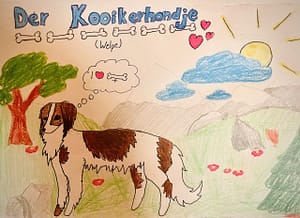 Bewerbung für einen Kooikerhondje Welpen